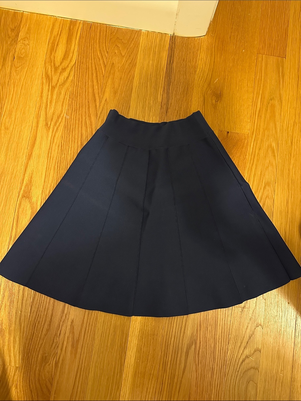BCBGMaxAzria Navy Panelled Circle Skirt